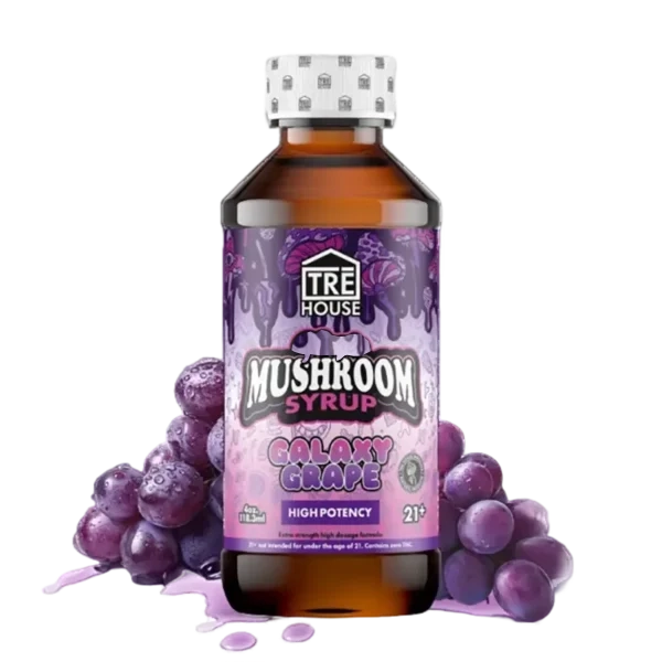 TRE House Mushroom Syrup - High Potency