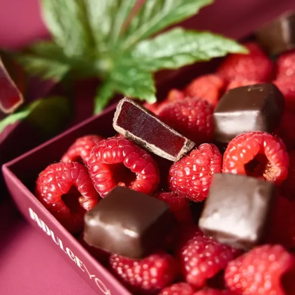 10mg Raspberry Jelly Dark Chocolate Bites