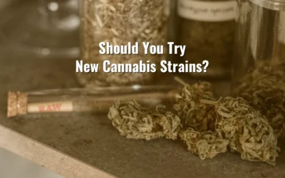 When to Try New Cannabis Strains vs. Sticking to Your Favorite