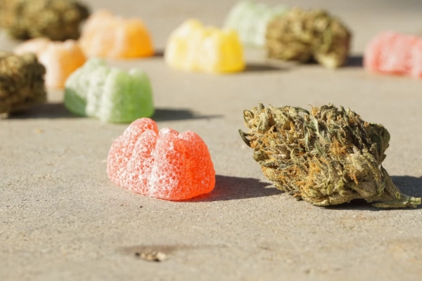 Cannabis bud and assorted gummies on a surface