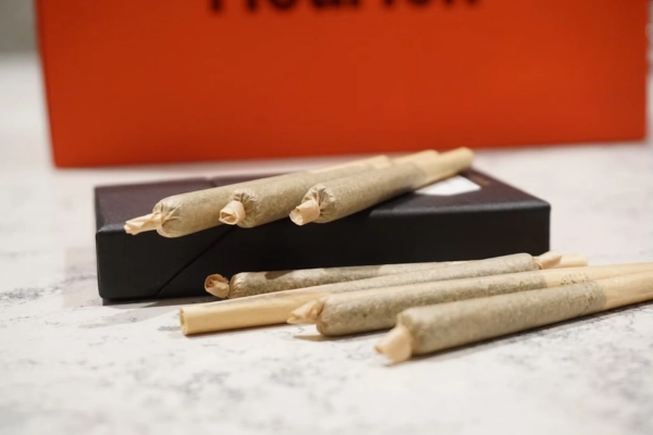 Several cannabis prerolls on a table