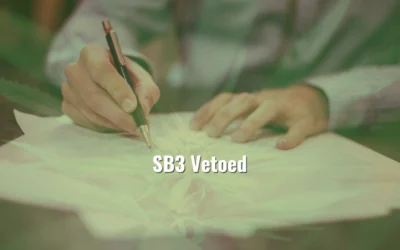 SB3 Vetoed: What’s Next for Texas?