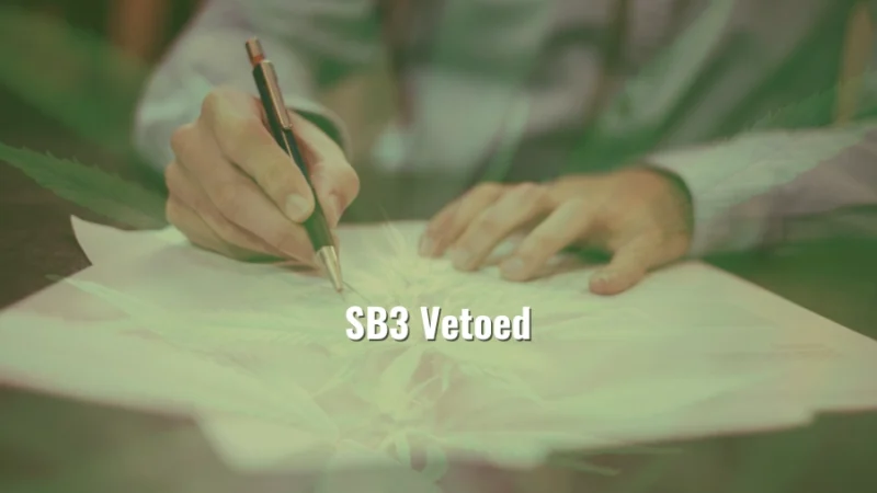 Close-up of hands signing a document with cannabis leaf overlay and text SB3 Vetoed