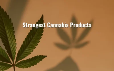 The Strangest Cannabis Products We Have Ever Carried