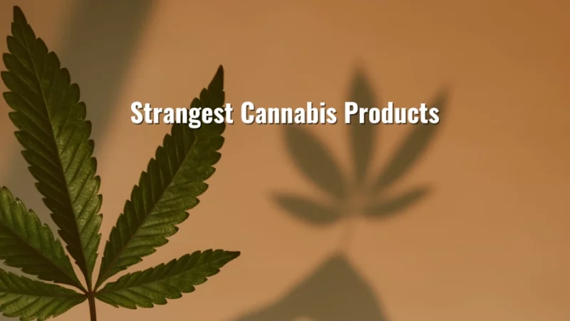 Cannabis leaf with shadow and the text “Strangest Cannabis Products”