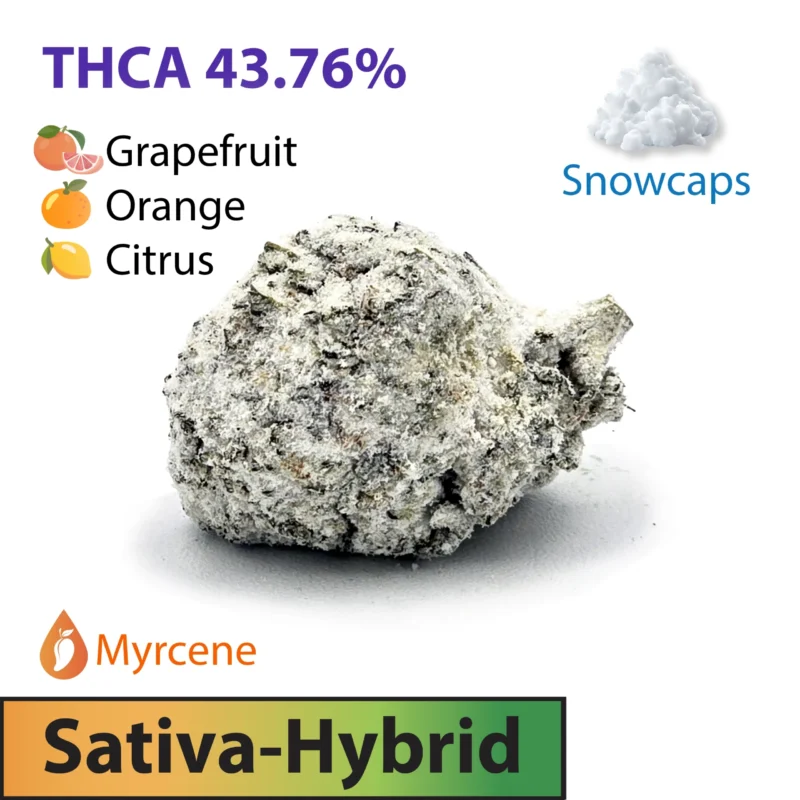Frosted Brands Super Boof Sativa Dominate Hybrid THC-A Flower Snowcaps