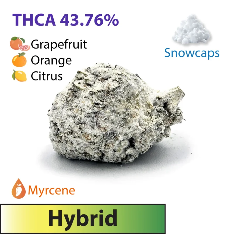 Frosted Brands Super Boof Hybrid THC-A Flower Snowcaps