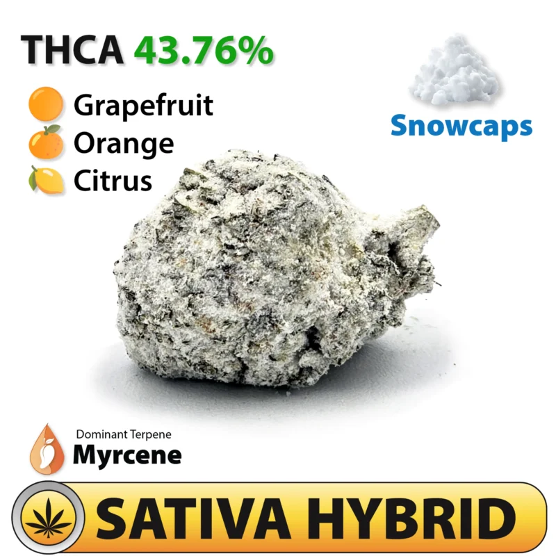 Frosted Brands Super Boof Sativa Dominate Hybrid THC-A Flower Snowcaps