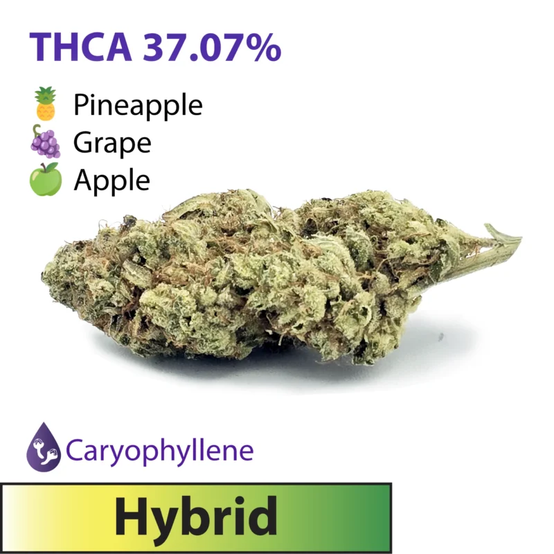 Frosted Brands Magic Gum Drops Hybrid THC-A Flower