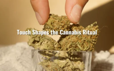 How Touch Shapes the Cannabis Ritual