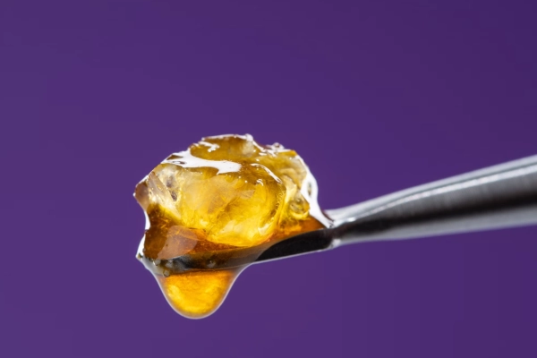 Close-up of golden cannabis concentrate on a dab tool against a purple background