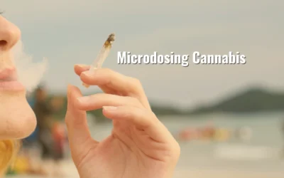 Microdosing Cannabis: The Value of Leftovers