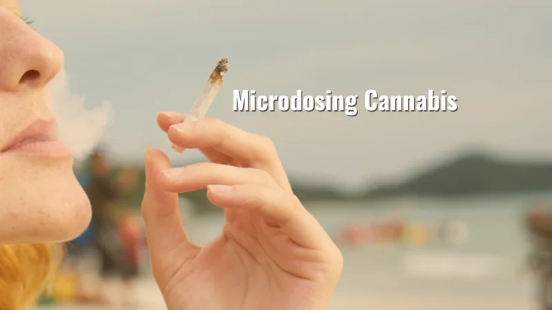 Close-up of a person smoking a joint with the words “Microdosing Cannabis” written on the image