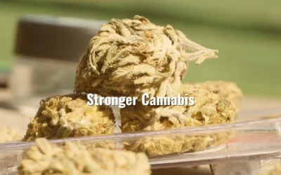 When Stronger Cannabis Makes More Sense