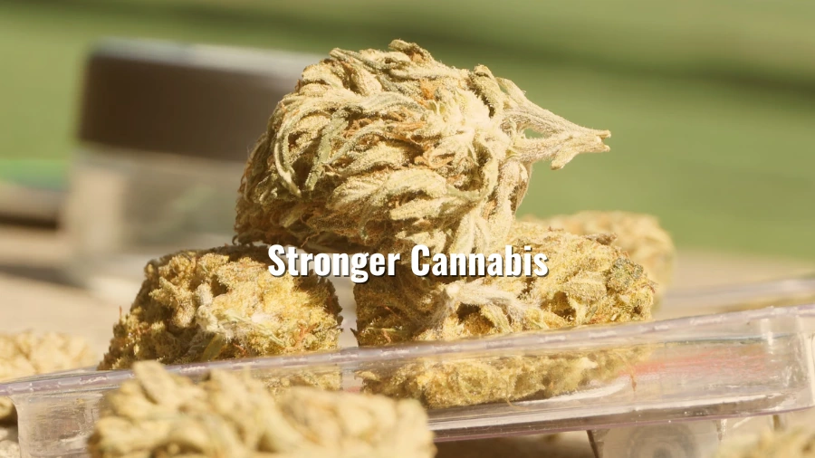 When Stronger Cannabis Makes More Sense