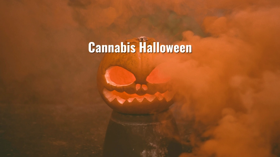 Cannabis Halloween: Plan the Perfect Party