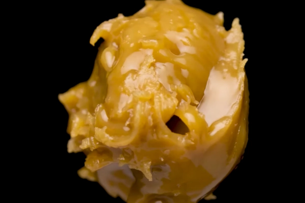 Close-up of aged live badder with a darker, glossy texture showing oxidation and natural terpene settling
