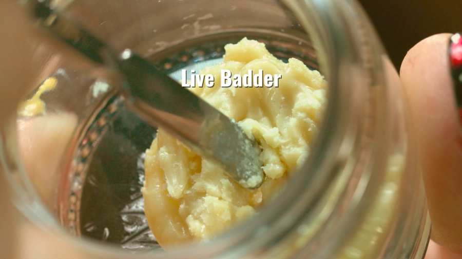 Jar of live badder with a creamy, light texture being scooped with a dab tool and the title “Live Badder”