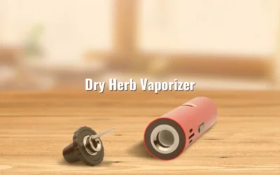 Dry Herb Vaporizer Reintroduction