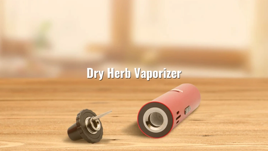 Dry Herb Vaporizer Reintroduction
