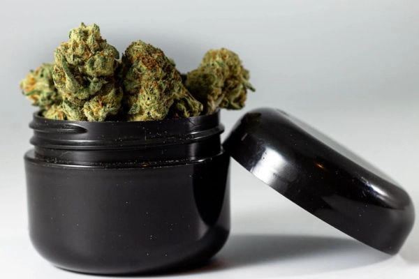 Open black jar filled with THCA flower buds, lid resting beside it