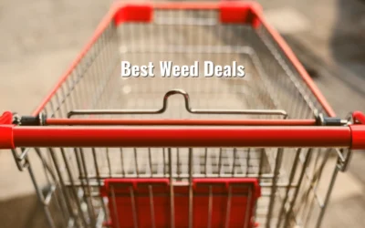 Best Weed Deals for Different Consumers