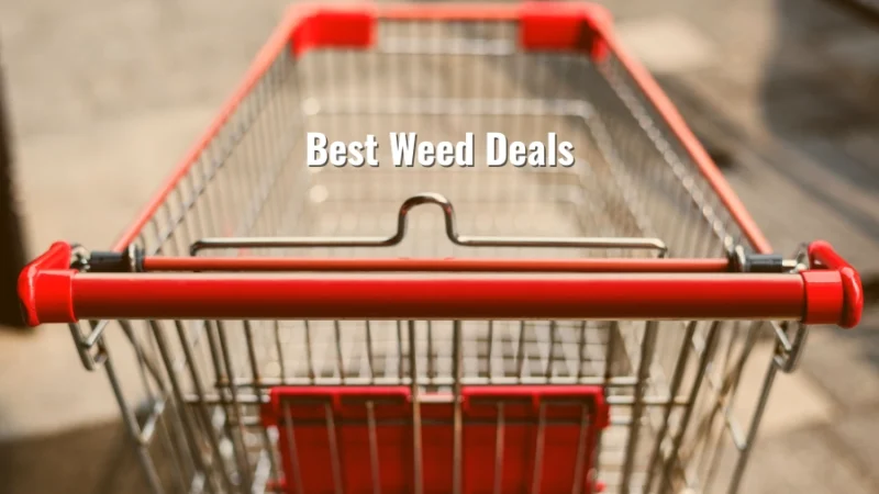Empty red shopping cart viewed from the front, parked on a sidewalk with the title “Best Weed Deals”