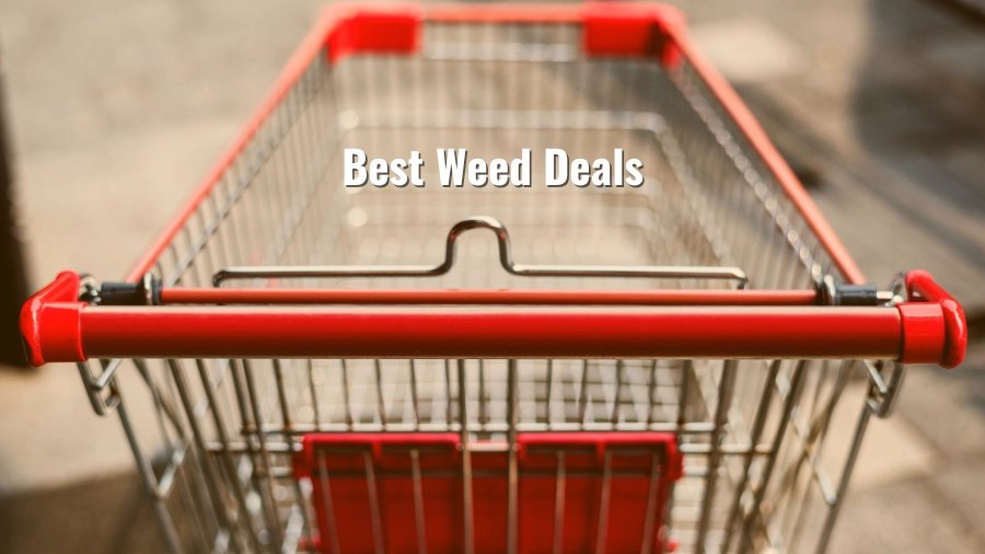 Best Weed Deals for Different Consumers