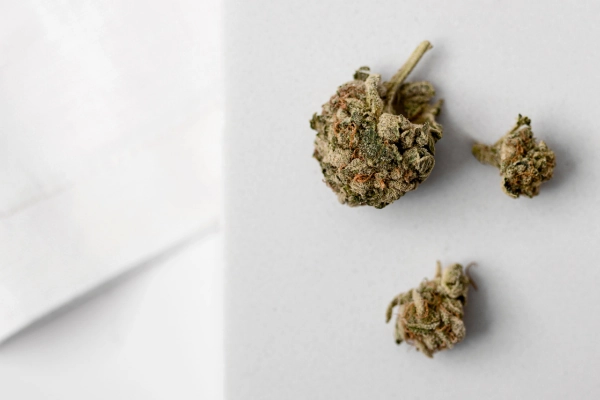 Three cannabis flower buds resting on a white surface