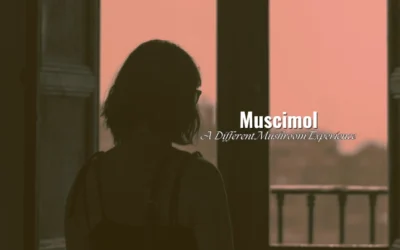 Muscimol: A Different Mushroom Experience