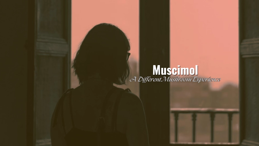 Muscimol: A Different Mushroom Experience
