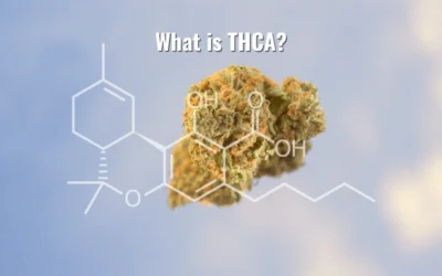 THCA: The Complete Guide to Legal THC in 2026