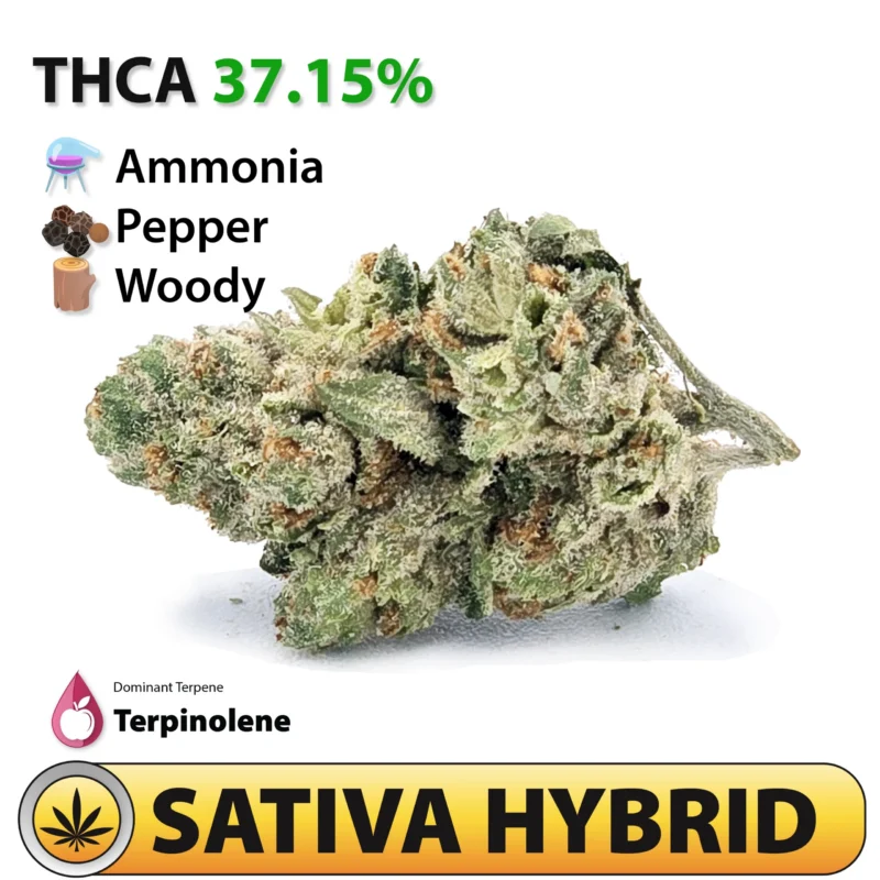 Frosted Brands Memory Loss THCA Flower – 37.15% THCA Sativa Hybrid