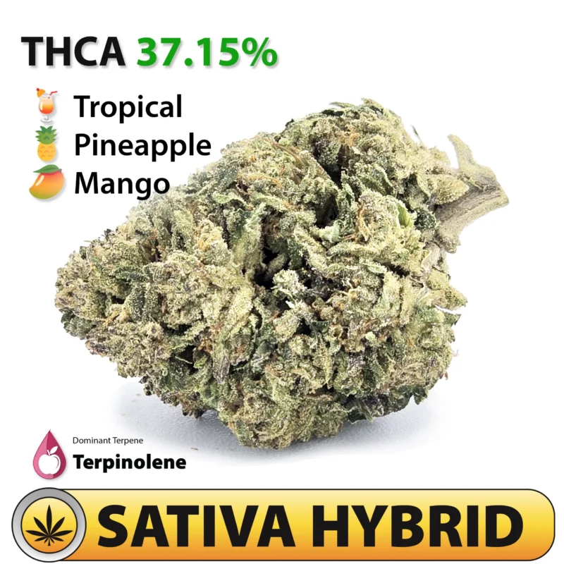 Pineapple Punch Strain – 37.15% THCA Flower | Frosted Brands