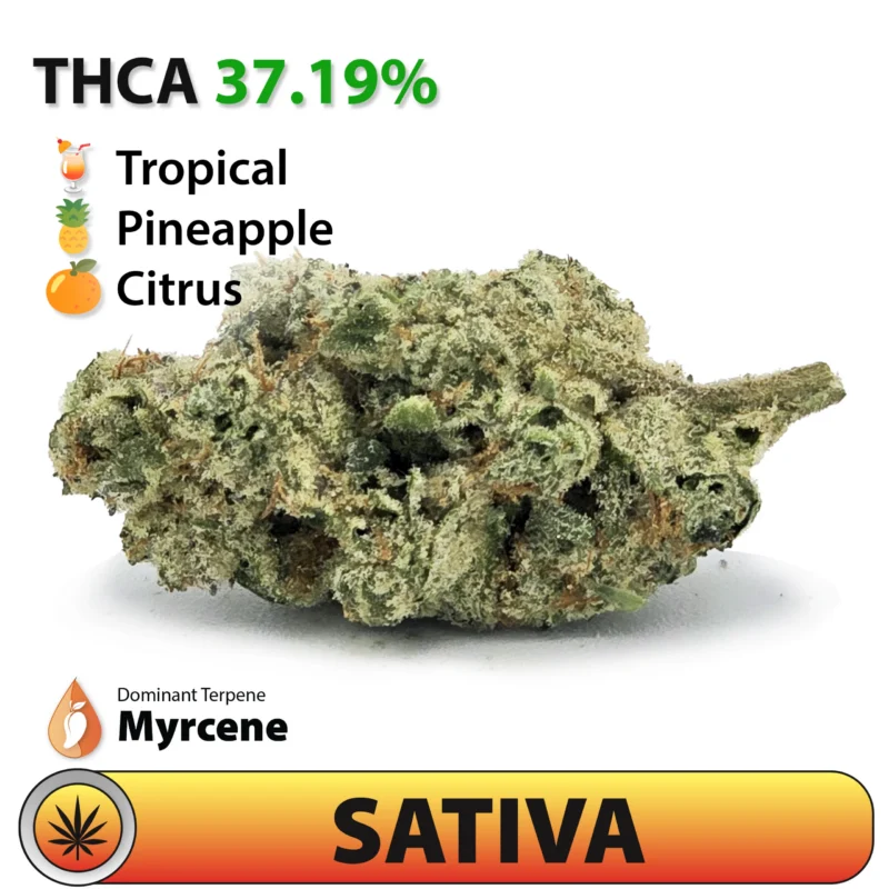 rosted Brands Maui Wowie THCA flower nug, sativa-dominant indoor-grown hemp flower testing at 37.19% THCA