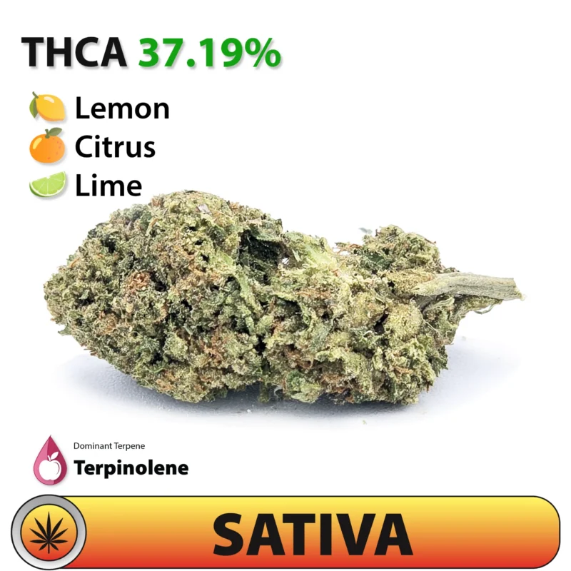 Super Lemon Haze THCA flower bud by Frosted Brands, sativa-dominant indoor flower testing 37.19% THCA