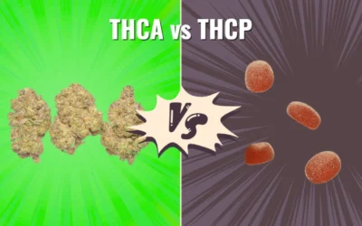 THCP vs THCA: A 2026 Guide to Potency, Effects, and What Changes November 12