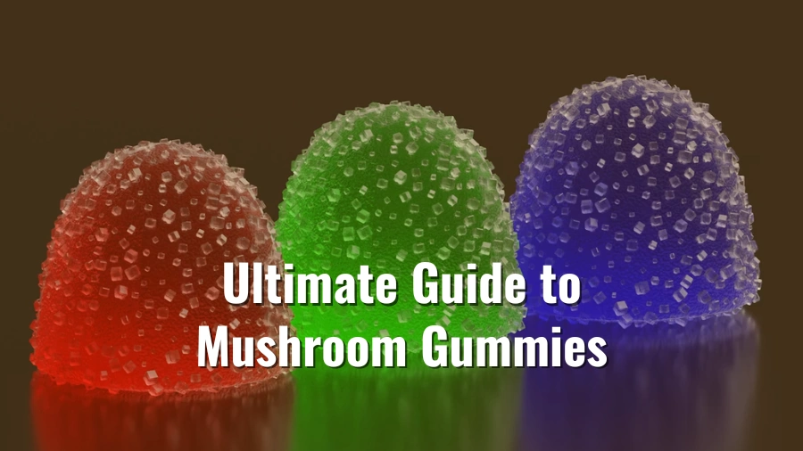 The Ultimate Guide to Mushroom Gummies: Effects, Legality, and Product Guide